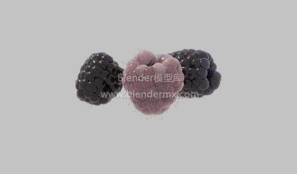 树莓覆盆子水果